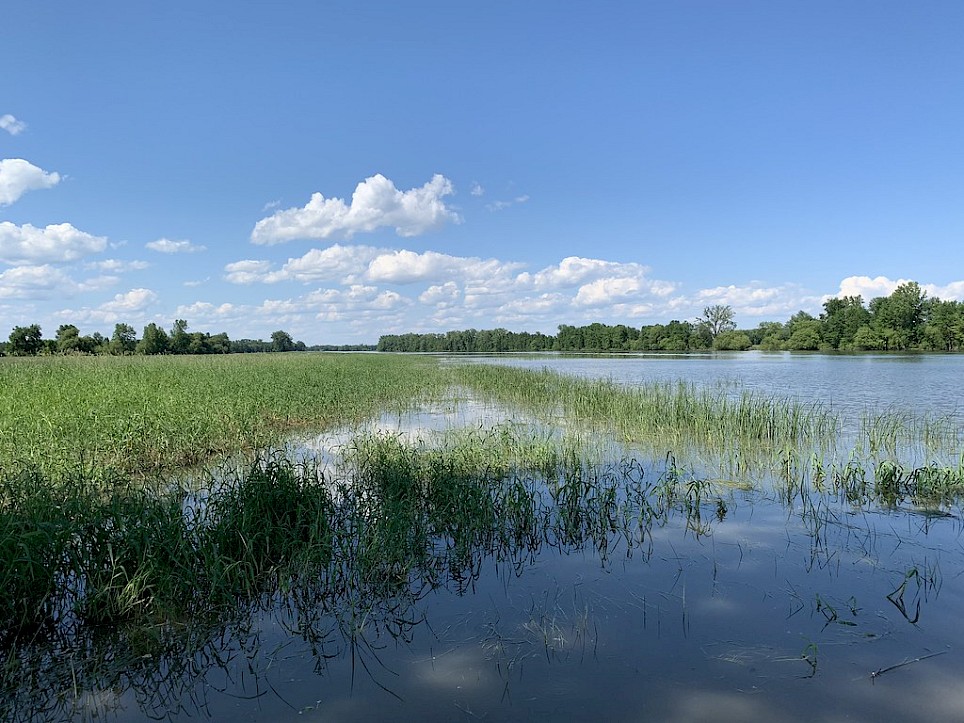 Development of agricultural land