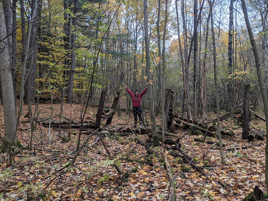 A steel footbridge that connects different camp sites at a scout camp in Elgin, Montérégie