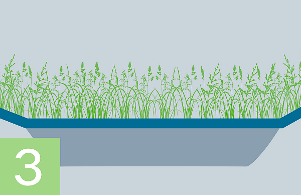 Bioretention basins