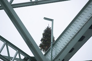 A tree sits atop the remaining steel structure of the original Champlain Bridge, in keeping with a tradition at major construction sites.